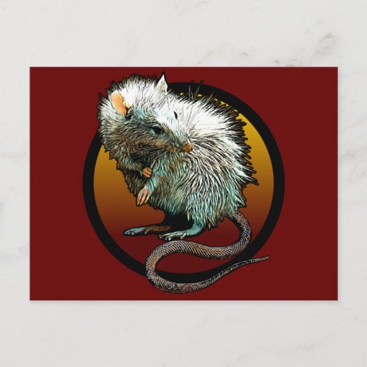 ラットボイ ポストカード (正面)