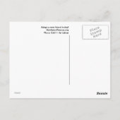 ラットポストカード ポストカード (裏面)