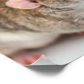 ラットラバーポスター ポスター (角)