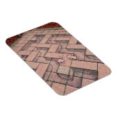 ラットレースのコーヒー休憩 マグネット (右側)