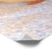 ラット昼寝プリント ポスター (角)