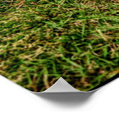 ラット棒 ポスター (角)