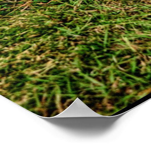 ラット棒 ポスター (角)