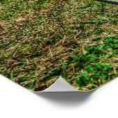 ラット棒 ポスター (角)