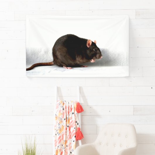 ラットbnrcna 横断幕 (インサイチュ)