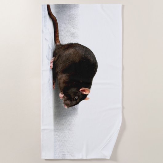 ラットbtcna ビーチタオル (正面)