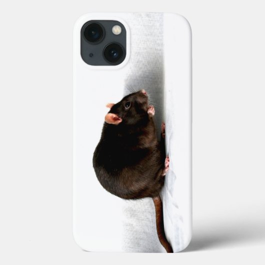 ラットIPHCNA Case-Mate iPhoneケース (裏面)