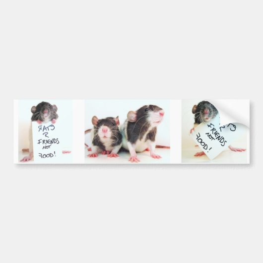 ラットRの友人のない食糧2 バンパーステッカー (正面)