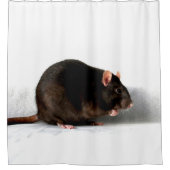 ラットscm シャワーカーテン (正面)