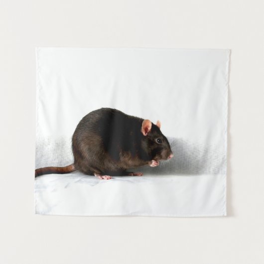 ラットwtcna タペストリー (正面(横))