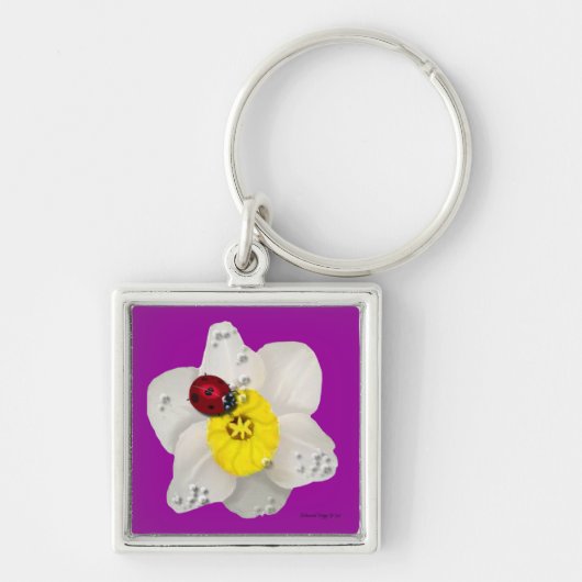ラッパスイセンおよびてんとう虫 キーホルダー (正面)