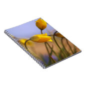 ラッパスイセンのクローズアップ ノートブック (右側)