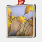 ラッパスイセンのクローズアップ メタルオーナメント (左)