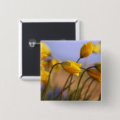 ラッパスイセンのクローズアップ 缶バッジ (正面&裏面)