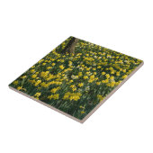 ラッパスイセンの丘-太陽に照らされた黄色および白い花 タイル (側面)