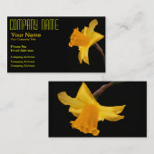 ラッパスイセンの名刺 名刺 (正面/裏面)