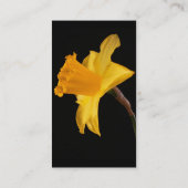 ラッパスイセンの名刺 名刺 (裏面)