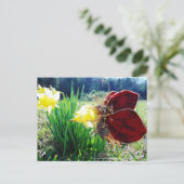 ラッパスイセンの妖精 ポストカード (スタンド正面)