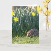 ラッパスイセンの徒歩旅行の挨拶状 カード (黄色い花)