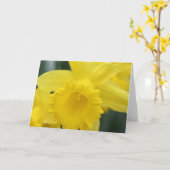 ラッパスイセンの挨拶状 カード (黄色い花)