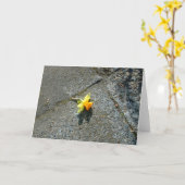 ラッパスイセンの挨拶状 カード (黄色い花)
