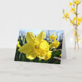 ラッパスイセンの挨拶状、中ブランク カード (黄色い花)