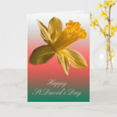 ラッパスイセンカード カード (黄色い花)