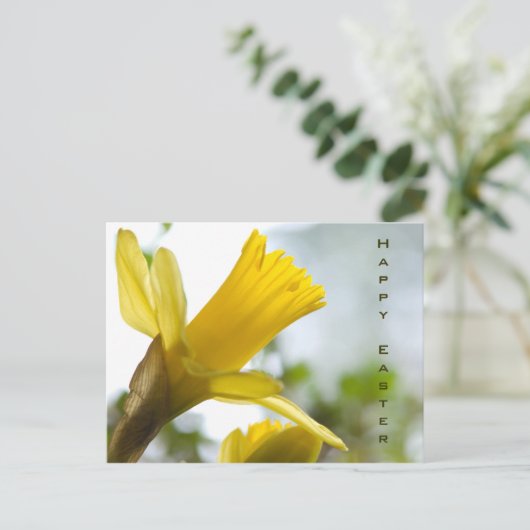 ラッパスイセン • イースター郵便はがき シーズンポストカード (スタンド正面)