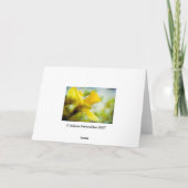 ラッパスイセン • 挨拶状 カード (裏面)