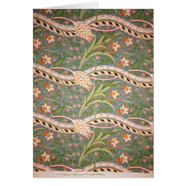 ラッパスイセンChintz', 1875年 (正面)
