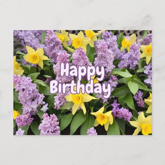 ラッパーの誕生日 紫のライラックの花と黄色の水仙 ポストカード (正面)