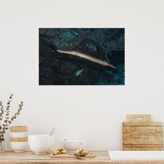 ラッパ ポスター (キッチン)