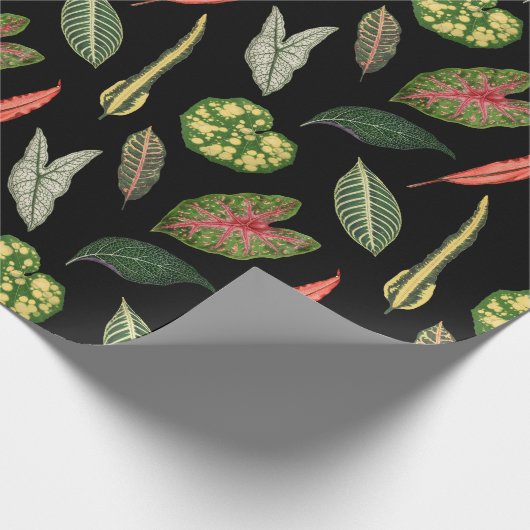 ラッピングペーパー (角)