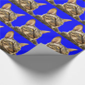 ラッピングペーパー |コーニッシュレックスタイガーキャットブルー (角)