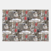 ラッピング紙シートオポッサム自然 ラッピングペーパーシート (正面)