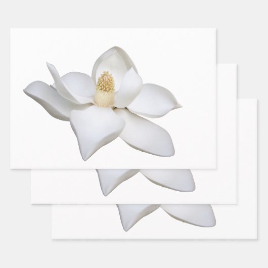 ラッピング紙シートセット ラッピングペーパーシート (セット)