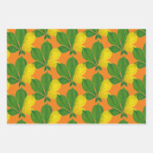 ラッピング紙セットの'Rann De Basanti' ラッピングペーパーシート (正面2)