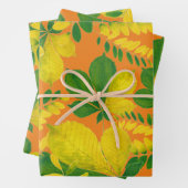 ラッピング紙セットの'Rann De Basanti' ラッピングペーパーシート (インサイチュ)