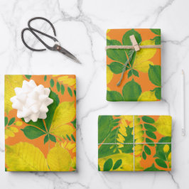 ラッピング紙セットの'Rann De Basanti' ラッピングペーパーシート