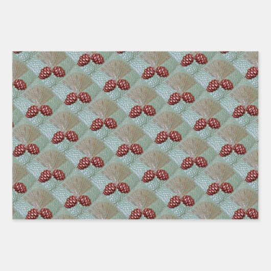 ラッピング紙セット3枚ピネコン ラッピングペーパーシート (正面)