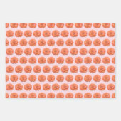 ラッピング紙セット-テキラサンライズ《植物》百日草 ラッピングペーパーシート (正面)