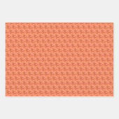 ラッピング紙セット-テキラサンライズ《植物》百日草 ラッピングペーパーシート (正面3)