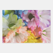 ラッピング紙セッ数々のト – カラーデイジーII ラッピングペーパーシート (正面3)