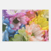 ラッピング紙セッ数々のト – カラーデイジーII ラッピングペーパーシート (正面)