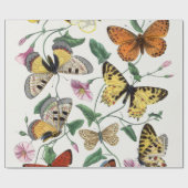 ラッピング紙バタフライヴィンテージイラストレーション ラッピングペーパー (フラット)