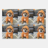 ラッピング紙フラットシートセット3 ラッピングペーパーシート (正面3)