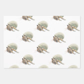 ラッピング紙フラットシートセット3 ラッピングペーパーシート (正面2)