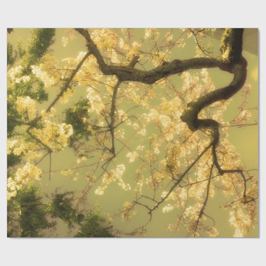 ラッピング紙転がさくらんぼブロッサムブランチデザイン ラッピングペーパー (フラット)