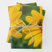 ラッピング紙 ラッピングペーパーシート (インサイチュ)