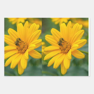 ラッピング紙 ラッピングペーパーシート